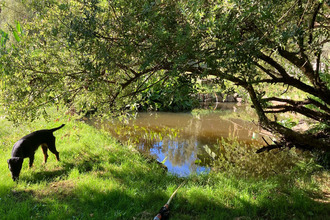  maison eymoutiers 87120