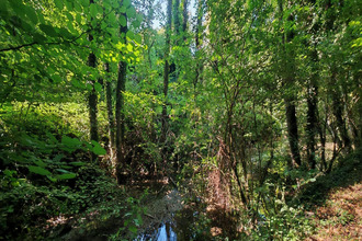  maison festigny 51700