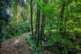  maison festigny 51700