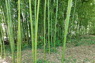  maison feytiat 87220