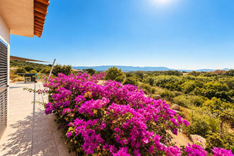  maison figari 20114
