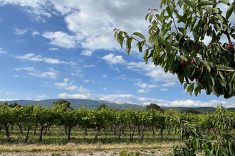  maison flassan 84410