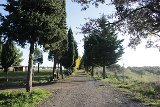  maison fontvieille 13990