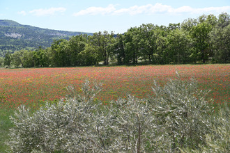  maison forcalquier 04300