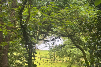  maison fronton 31620