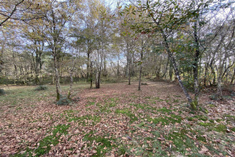  maison gabarret 40310