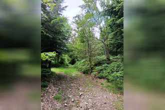  maison gerardmer 88400