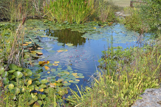  maison gourdon 46300