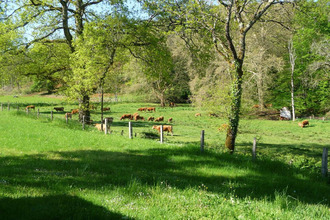  maison gourdon 46300