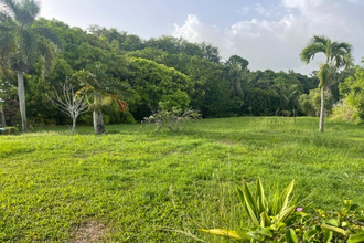  maison goyave 97128
