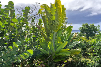  maison grand-bg 97112