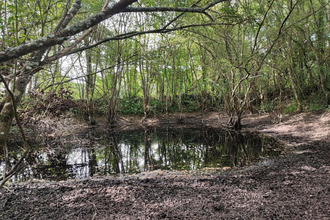  maison guilliers 56490