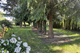  maison guilliers 56490