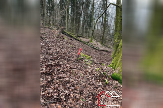  maison hanviller 57230