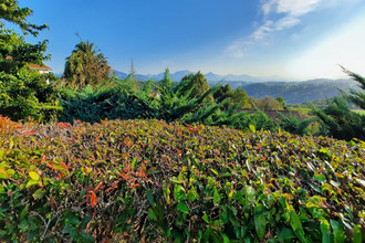  maison hasparren 64240