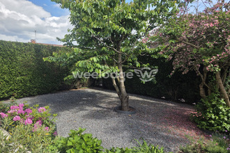  maison hautmt 59330