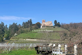  maison kintzheim 67600