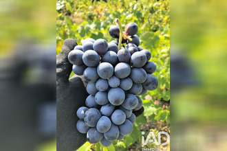  maison l-isle-sur-la-sorgue 84800