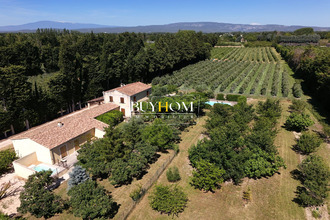  maison l-isle-sur-la-sorgue 84800