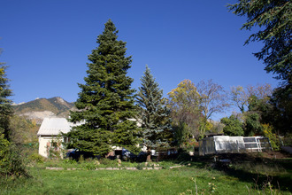  maison la-batie-neuve 05230