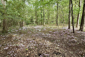  maison la-chapelle-st-remy 72160