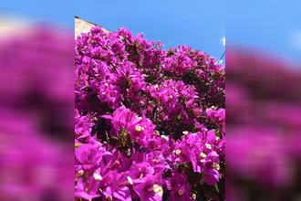  maison la-ciotat 13600