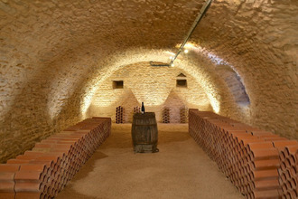  maison lacenas 69640