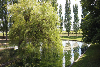  maison ladoix-serrigny 21550