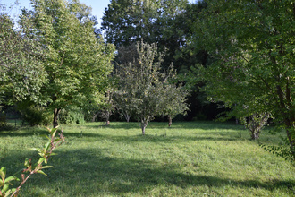  maison lagrauliere 19700