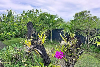  maison lamentin 97129