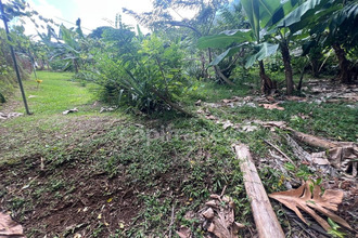  maison lamentin 97232