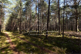  maison lamotte-beuvron 41600