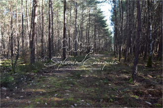  maison lamotte-beuvron 41600