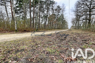  maison lamotte-beuvron 41600