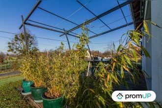  maison lanouaille 24270