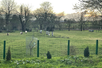  maison lanrelas 22250