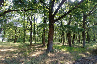  maison lapenche 82240