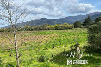  maison laroque-des-alberes 66740