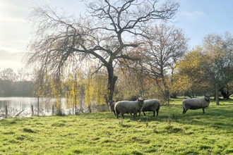  maison le-champ-st-pere 85540