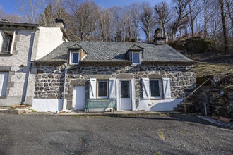  maison le-falgoux 15380