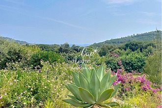  maison le-lavandou 83980