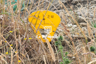  maison le-may-sur-evre 49122