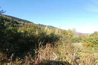  maison le-thillot 88160