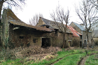  maison le-tronchet 35540