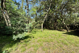  maison lege-cap-ferret 33950