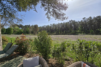  maison leon 40550