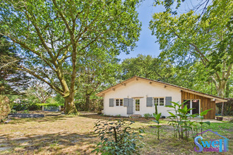  maison leon 40550