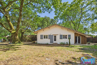  maison leon 40550