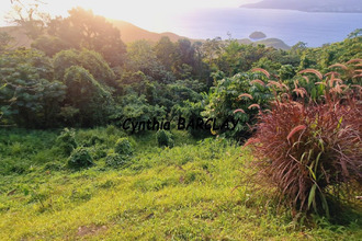  maison les-anses-d-arlet 97217