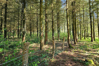  maison lignieres-orgeres 53140